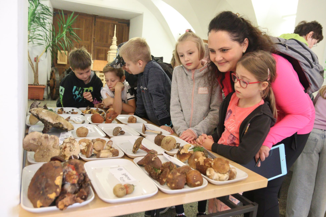 Muzeum regionu Valašsko zve na Výstavy živých hub