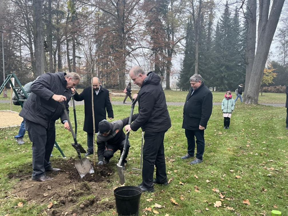 Vysazením stromu naděje si Rožnované připomněli ukončení I. světové války