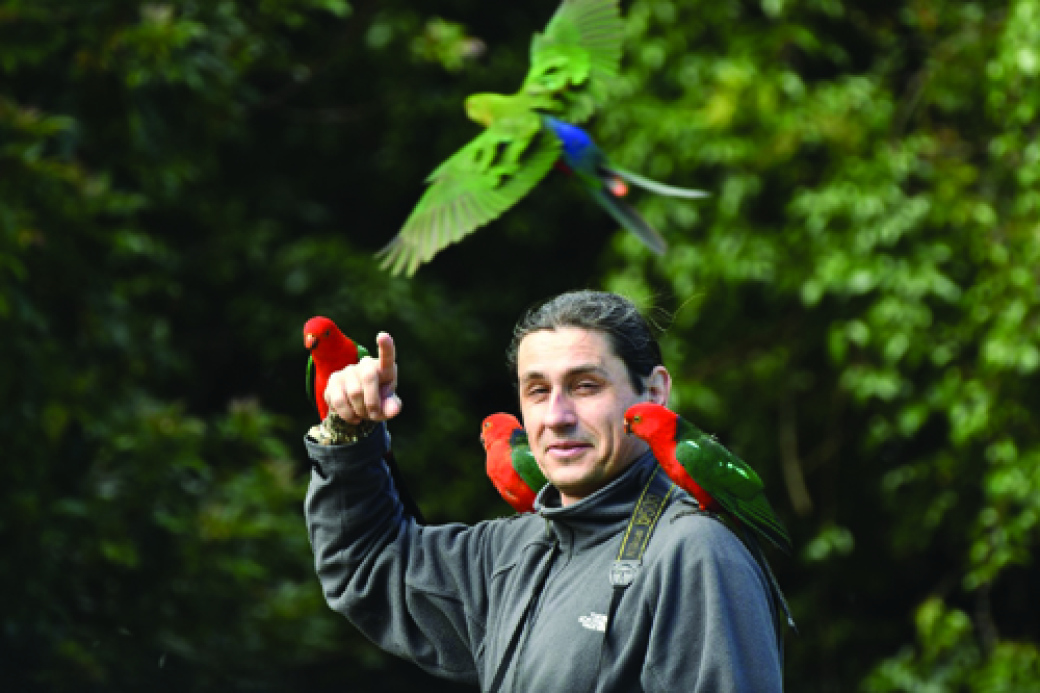 Na zámek Vsetín přijede rekordman v birdwatchingu Tomáš Grim