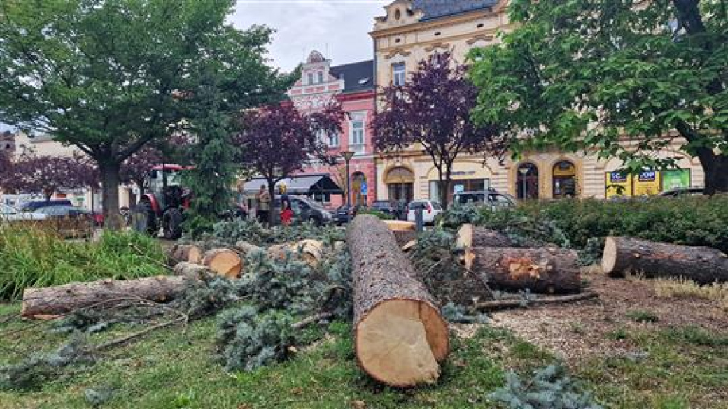 Vsetínské Dolní náměstí bude mít nový vánoční strom