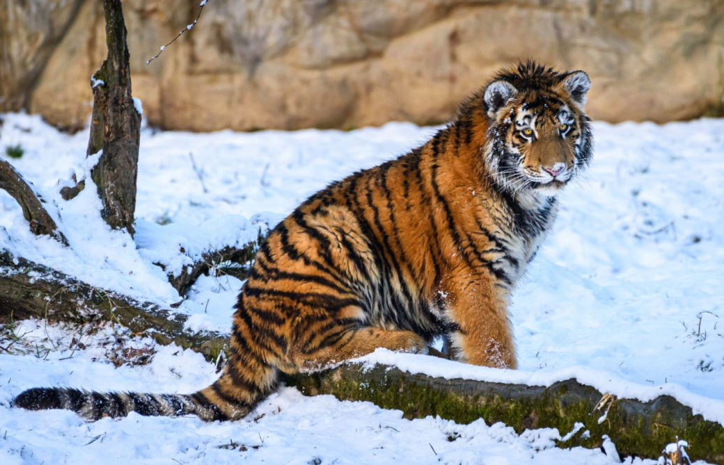 Za pololetní vysvědčení do Zoo Zlín za 1 Kč