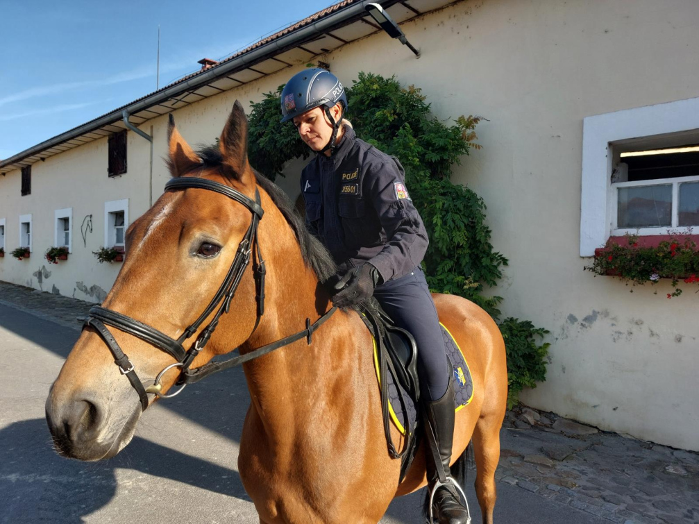 Policisté v kraji mají dalšího služebního koně. Celkem jich mají už 10