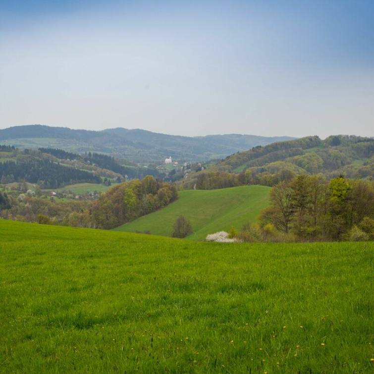 Zlínský kraj přispěje na údržbu zvláště chráněných území