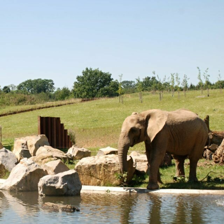 Vedení kraje chce 25 miliony podpořit rozšíření Zoo Zlín