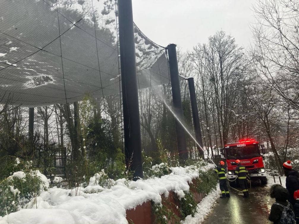 Předvánoční sněhová nadílka poškodila voliéry ve zlínské zoo. Škody půjdou do milionů korun