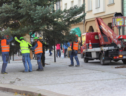 Vánoční strom na Masarykově náměstí se rozsvítí v pátek 27. listopadu