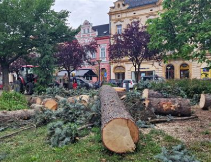 Vsetínské Dolní náměstí bude mít nový vánoční strom