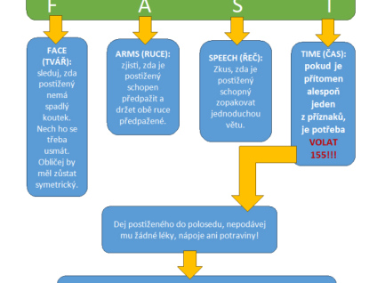 K pacientům s mrtvicí vyjíždí záchranáři několikrát za den