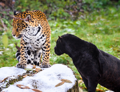 Květen v Zoo Zlín