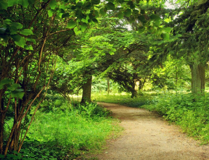 Kraj podpořil 3 miliony vznik nového arboreta ve Vizovicích