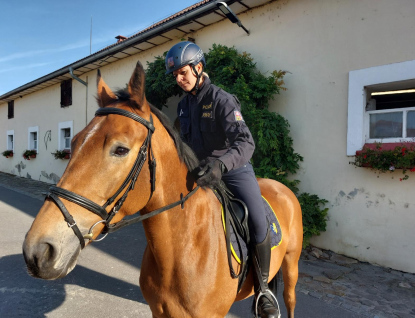 Policisté v kraji mají dalšího služebního koně. Celkem jich mají už 10