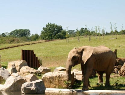 Vedení kraje chce 25 miliony podpořit rozšíření Zoo Zlín