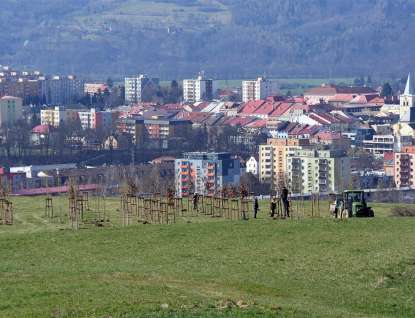 Výsadba Florální oázy je v plném proudu