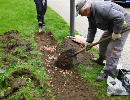 Valašské Meziříčí se na jaře opět zazelená a rozkvete