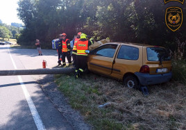 Twingo porazilo sloup1